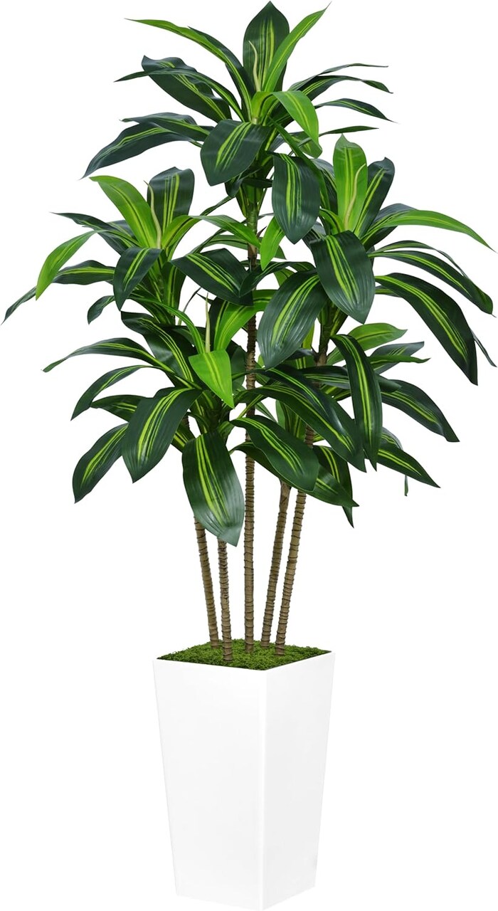 5ft Artificial Dracaena Tree – Faux Yucca with White Tall Planter for Home & Office Decor